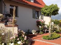 Kaufen-einziehen-wohlfühlen Sachsen-Anhalt - Erxleben (bei Haldensleben) Vorschau