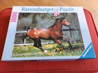 3x1000 Puzzle - Pferd, französische Alpen, Gewürze - Ravensburger Düsseldorf - Eller Vorschau
