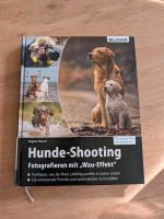 Buch Hunde-Shooting Fotografie Regine Heuser Fotoratgeber Wandsbek - Hamburg Bergstedt Vorschau