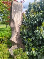Monolith, Findling, Amazonasfindling Saarland - Heusweiler Vorschau