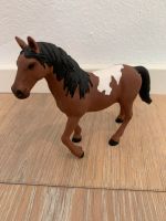 Schleich Pinto Stute Limited Edition Bayern - Hilpoltstein Vorschau