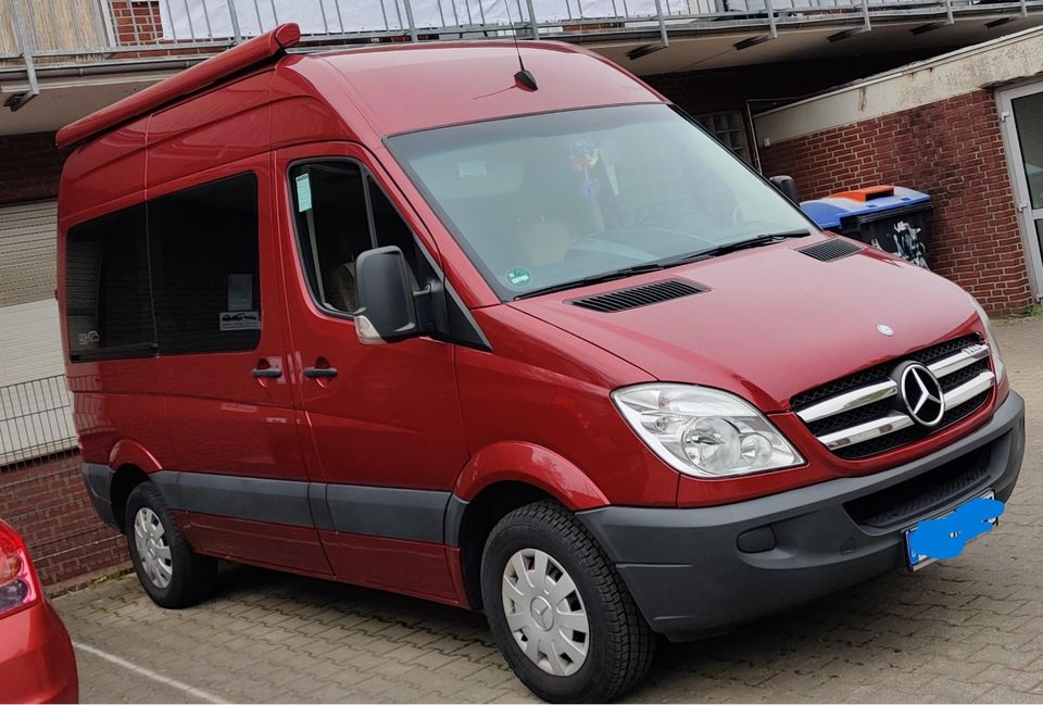 Mercedes Benz MB Sprinter Domo 520 Business TOP Zustand Raumwunde in Hildesheim