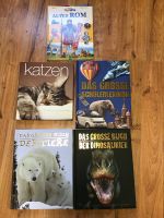 Kinderbücher Lexikon Tiere Katzen Dinosaurier + altes Rom Rheinland-Pfalz - Ingelheim am Rhein Vorschau