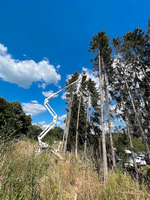 Garten und Landschaftsbau, Gartengestaltung, Pflasterarbeit in Wetzlar