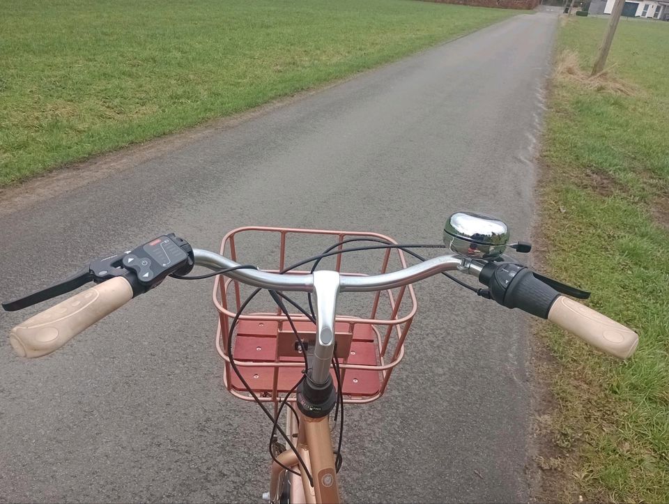 Damen E-Bike in Rödinghausen
