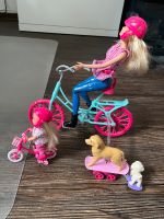 Barbie Fahrradausflug mit Hunden Niedersachsen - Goslar Vorschau