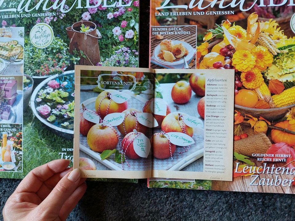 Landidee Zeitungen Zeitschriften in Staufenberg