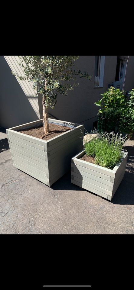 XXL Blumenkübel | Pflanzenkübel | Blumentopf | Holzkübel Groß in Essen