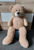 Teddy sucht neues zu Hause. Brandenburg - Cottbus Vorschau