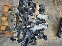 Motor Alfa Romeo Stelvio Quadrifoglio 2.9 510PS  KOMPLETT Nordrhein-Westfalen - Leverkusen Vorschau