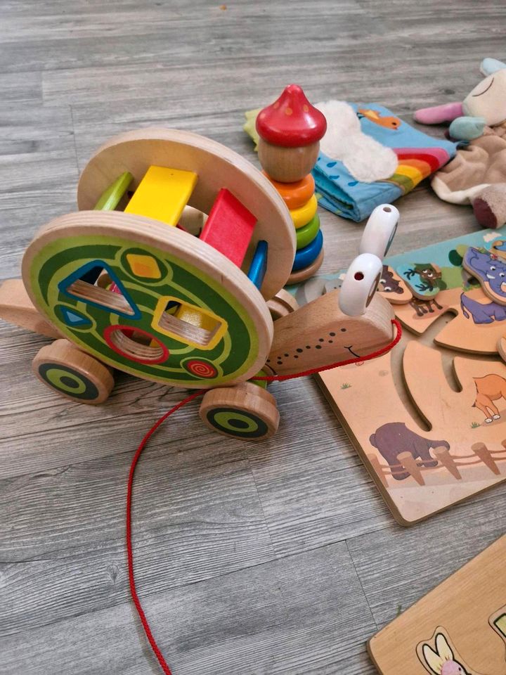 Kleinkindspielzeug konvult Kegelbahnen Nachziehschnecke in Schwendi