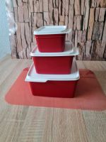 Tupperware  Keksdosen  - Set Schleswig-Holstein - Neumünster Vorschau