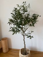 Künstlicher Olivenbaum 1,50m Essen - Essen-Ruhrhalbinsel Vorschau