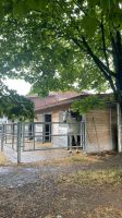 Fein reitende Reitbeteiligung gesucht - Pferd sucht Reiter Baden-Württemberg - Korntal-Münchingen Vorschau