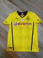 Original BVB Trikot DFB-Pokalfinale 17.05.2014 in L Nr.25 Nordrhein-Westfalen - Brilon Vorschau