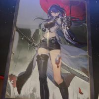 RAR Honkai Star Rail Clear files Acheron & Dan Heng Berlin - Spandau Vorschau