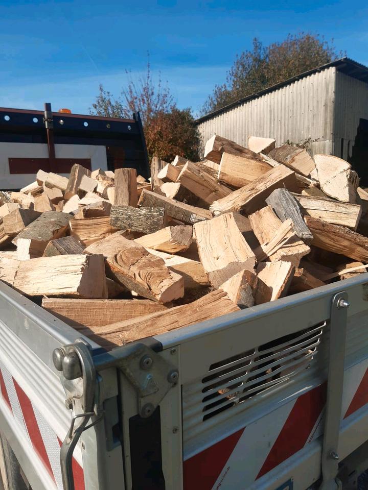 Brennholz, Kaminholz, Feuerholz, Buche trocken sofort verheizbar in Nüdlingen