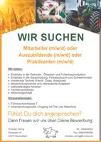 Job / Ausbildung / Praktikum in der Landwirtschaft Hessen - Diemelstadt Vorschau