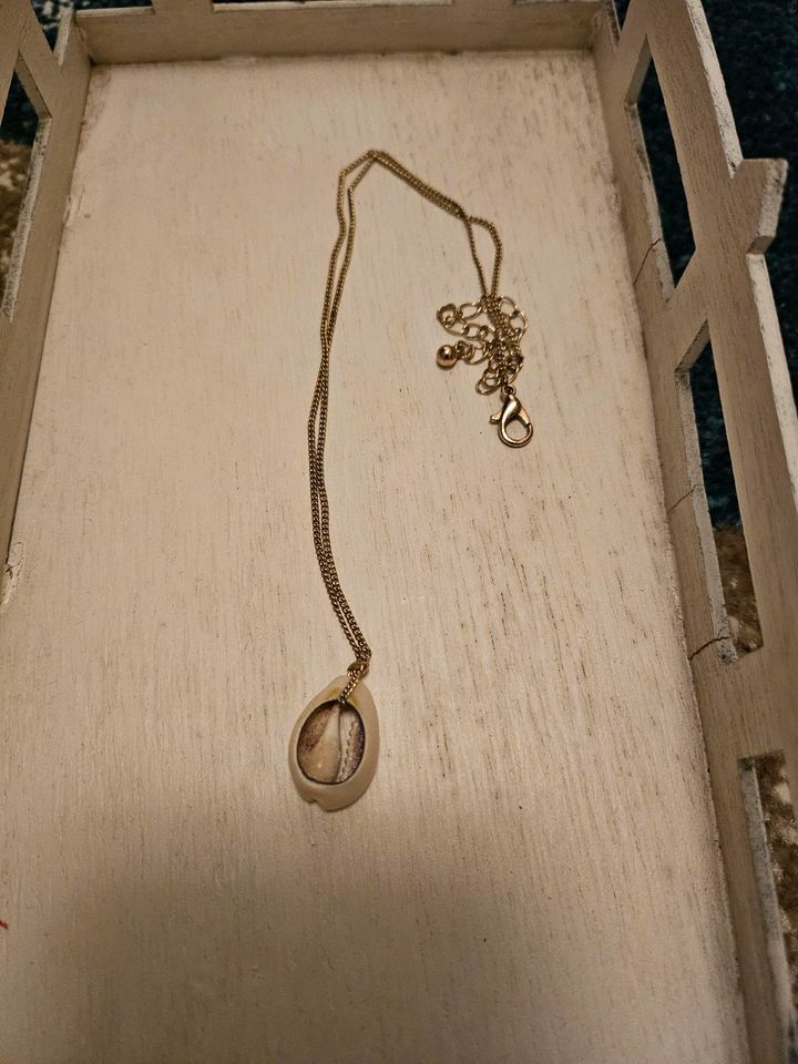 Schmuckset Kauri Muschel, Kette und Armband in Berlin