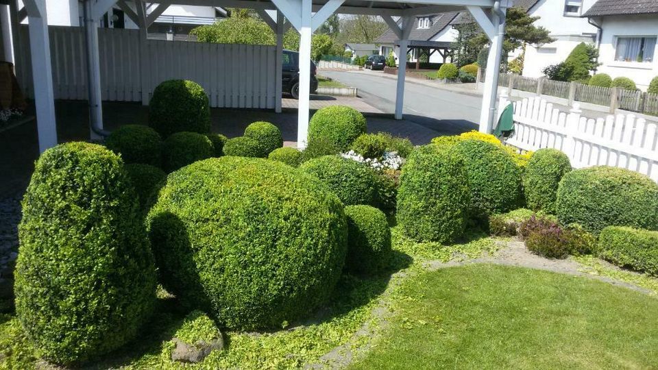 Büscher Gartenbau in Soest