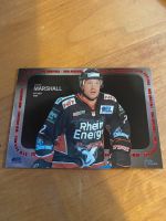 DEL Sonderkarte Jason Marshall Kölner Haie Playercard New Arrival Hessen - Kelkheim Vorschau