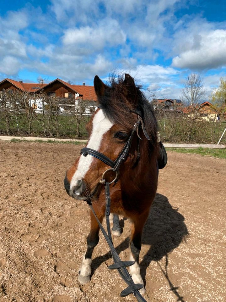 Reitunterricht für Kinder und Jugendliche in Weilheim i.OB