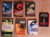 Verschiedene Bücher Romane/Thriller Saarland - Nonnweiler Vorschau