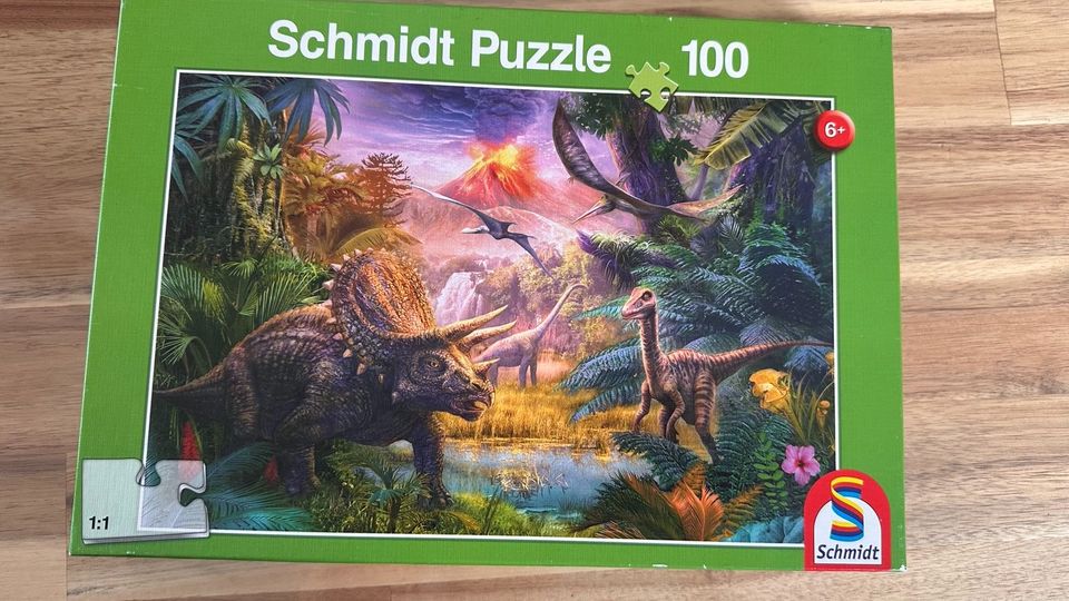 Puzzle Dino ab 6 Jahren in Mastershausen