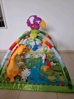 Fisher Price Spielbogen Rainforest, Erlebnsidecke Rheinland-Pfalz - Ludwigshafen Vorschau