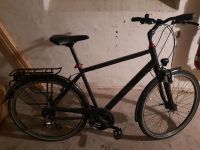 Herrenfahrrad Pegasus Solero SL 24 28 Zoll schwarz 55 cm Rh Brandenburg - Eggersdorf Vorschau