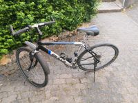 FAHRRAD 28 Zoll von BULLS Rheinland-Pfalz - Üxheim Vorschau