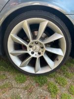 Lorinser RS8 Felgen Turbinenfelgen 19 Zoll 5x112 Mercedes Benz Köln - Nippes Vorschau