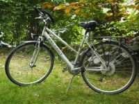Fahrrad-Herrenrad-Peugeot 28"(Angebot für Bedürftige) Nutzmüll eV Altona - Hamburg Bahrenfeld Vorschau