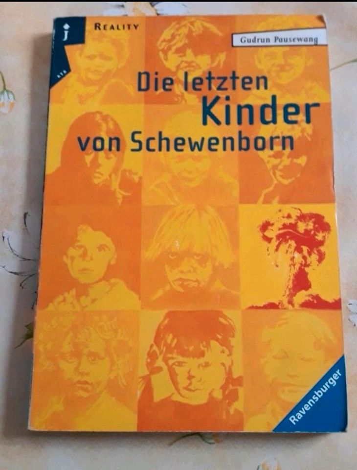 Taschenbücher Jugendbücher Der gelbe Vogel Das Austauschkind in Pfaffen-Schwabenheim