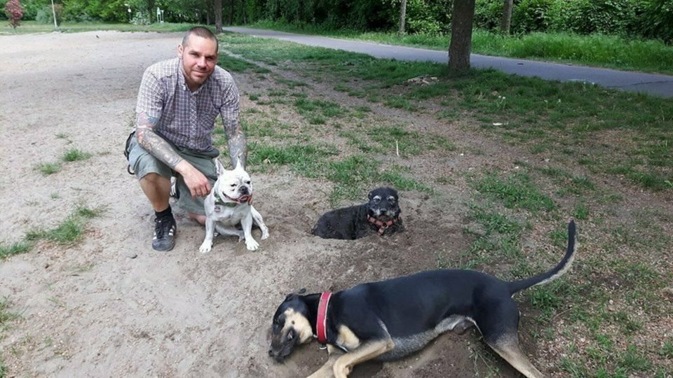 Hundebetreuung,Dogwalker,Gassiservice,Katzenbetreuung in Berlin