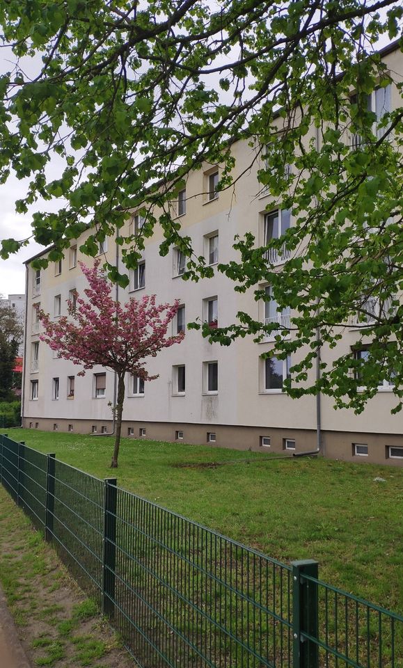Neu möblierte u. sanierte 3-Raum-Wohnung in Treptow/Johannisthal in Berlin