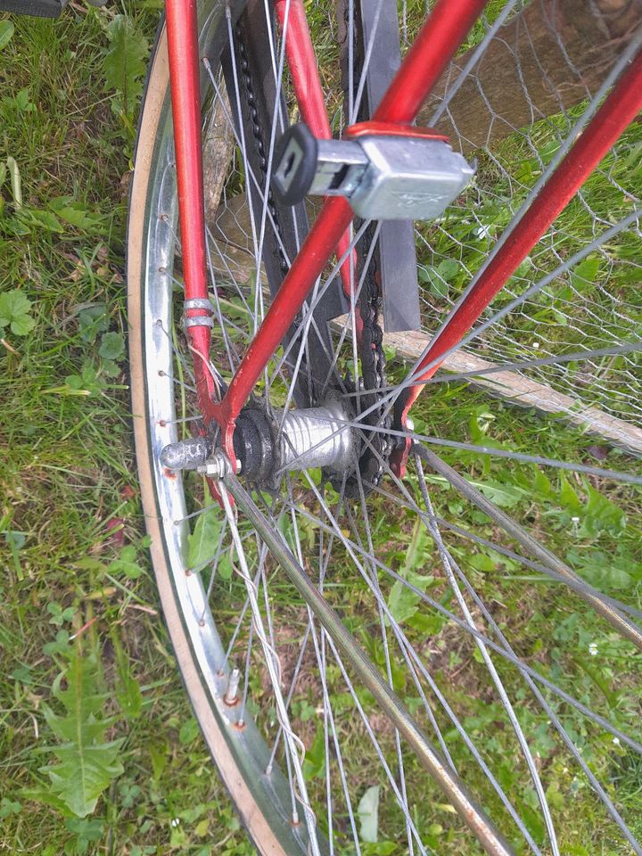 Damen-Fahrrad. in Marktoberdorf