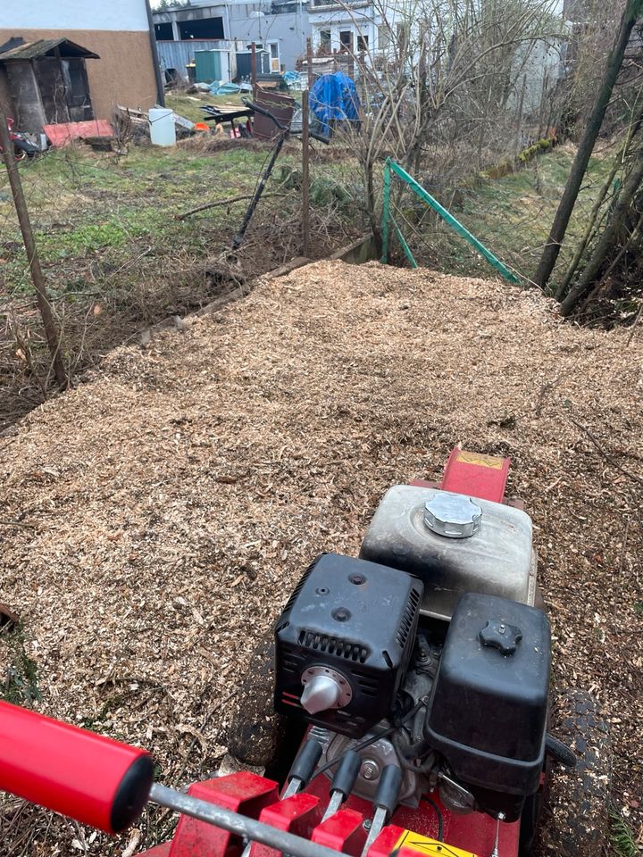 Wurzelstockfräsen wurzeln ausfräsen, Bäume fällen Hecke schneide in Dürbheim