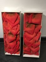 120 rote Rosenblätter (aus Stoff) ***neu*** in OVP / 1. Mai Nordrhein-Westfalen - Erkelenz Vorschau