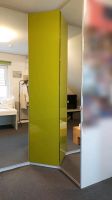 Ikea Schranktür "Fardal", grün, 50x229cm Niedersachsen - Lengede Vorschau
