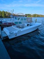 Chris Craft Scorpion 260 SL – V8 Powerboot in Top-Zustand Brandenburg - Potsdam Vorschau