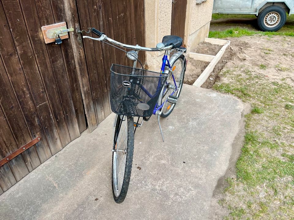 Kynast 28“ Zoll Damenrad Fahrrad - retro in Userin