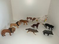 Schleich Regenbogen Einhorn Wildschwein Tiger Löwe Wolf Hund Hessen - Reiskirchen Vorschau