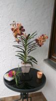 Künstliche Orchidee Kr. Altötting - Emmerting Vorschau