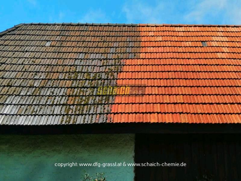 Dach Reinigung ab 8 Euro pro Qm2 in Rotenburg (Wümme)