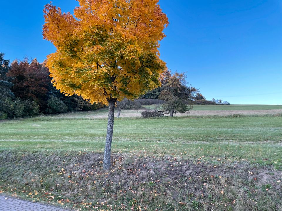 Baugrundstück in Ortsrand in Morbach-Wederath