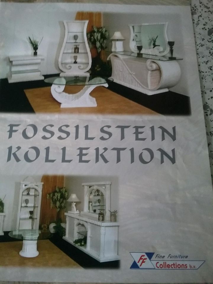 Original Fossilstein Kollektion Sidebord ( Neupreis ca. 7000 €) in Essen