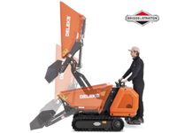 DELEKS® Mini-Raupendumper Dumper Überlader | B & S Motor  E-start Kr. Dachau - Pfaffenhofen a. d. Glonn Vorschau