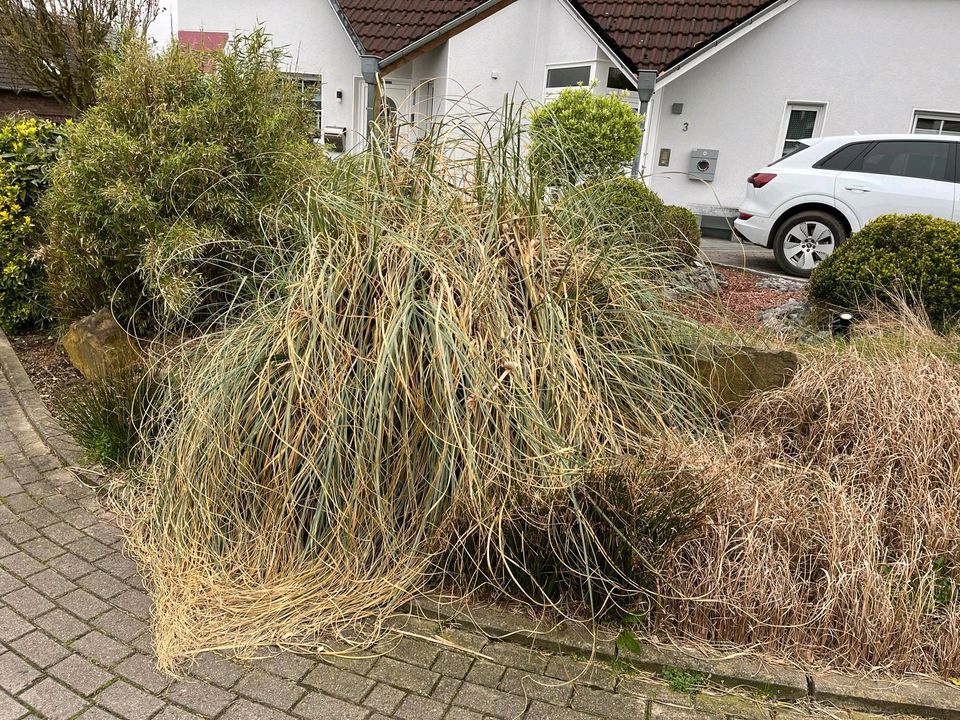 BA-BAU Rund ums Haus in Hagen