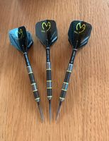 25G Michael Van Gerwen Darts Aspire 80% Bayern - Waldkirchen Vorschau